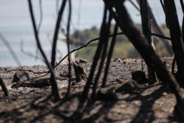 Οι πρώτες εικόνες από τη φωτιά στον Άγιο Στέφανο στον Ερημίτη Κέρκυρας