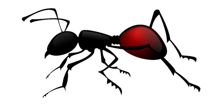 kisspng-black-garden-ant-insect-clip-art-cartoon-ant-5ae0fd786aadf5.520720501524694392437.jpg