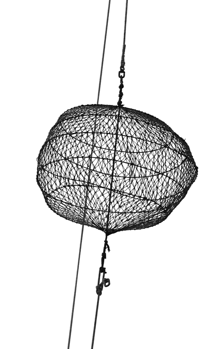 Κίτσα Αγγελάκου-Σκηνίτη