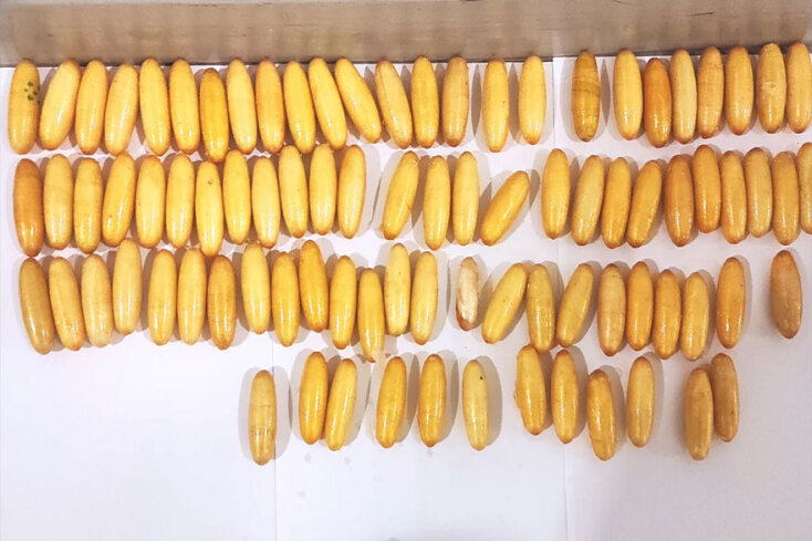 «Ελευθέριος Βενιζέλος»: Οι κάψουλες με την κοκαΐνη που είχε στο στομάχι του ο 50χρονος ταξιδιώτης ο οποίος συνελήφθη στο διεθνές αεροδρόμιο