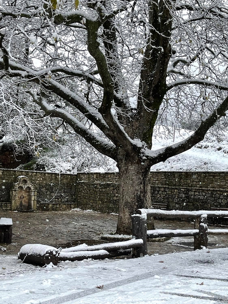 Χιονίζει στο Κολοκοκρωνίτσι και οι εικόνες είναι μαγικές