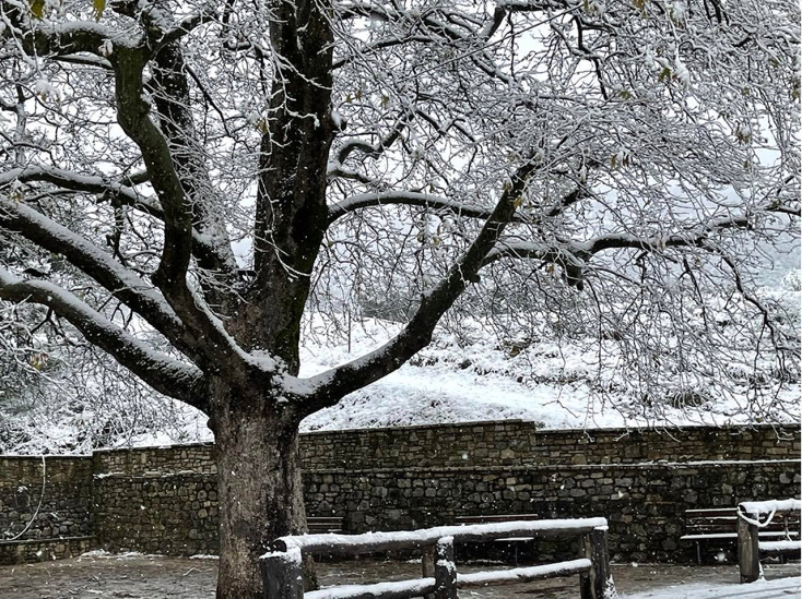 Χιονίζει στο Κολοκοκρωνίτσι και οι εικόνες είναι μαγικές