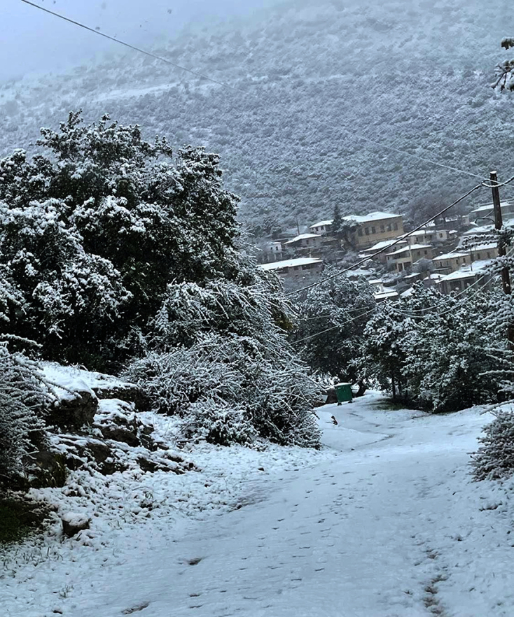Χιονίζει στο Κολοκοκρωνίτσι και οι εικόνες είναι μαγικές