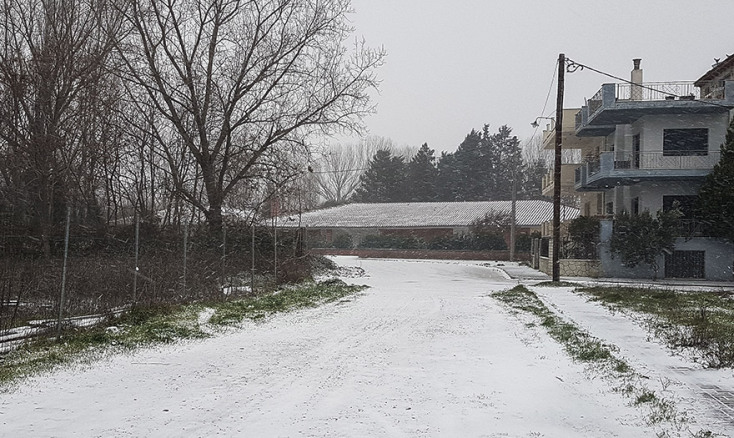  ΧΙΟΝΟΠΤΩΣΗ ΣΤΗΝ ΚΟΜΟΤΗΝΗ 