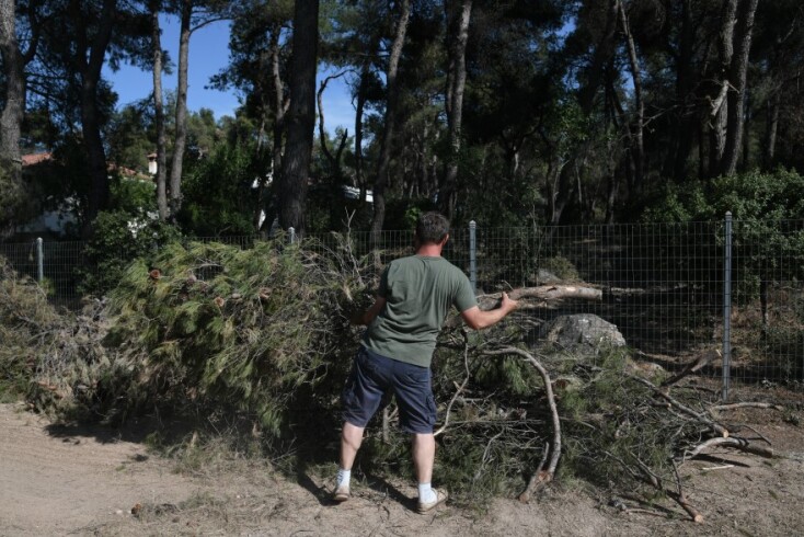 Κόψιμο ξερών κλαδιών από την κακοκαιρία Μήδεια στο Διόνυσο©Eurokinissi-ΚΑΡΑΓΙΑΝΝΗΣ ΜΙΧΑΛΗΣ