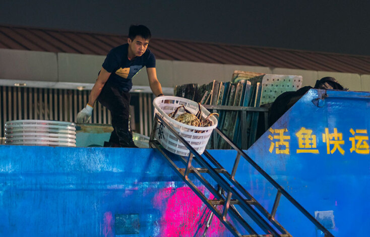 Ίχνη κορωνοϊού σε συσκευασίες με κατεψυγμένα τρόφιμα διαπιστώθηκαν στην Κίνα - «Κανένας κίνδυνος μετάδοσης του ιού στην τροφική αλυσίδα», σύμφωνα με τον ΠΟΥ