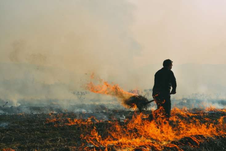 Κωστής Μίγκος