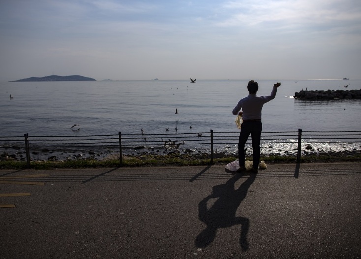 Ένας άνδρας ταϊζει γλάρους στην Κωνσταντινούπολη