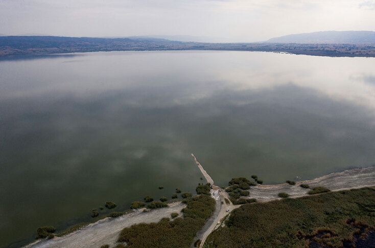 lake-dead-fish-koroneia.jpg