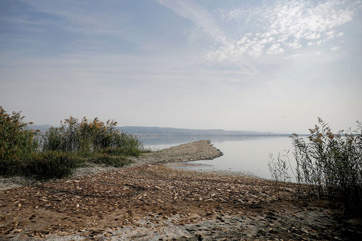 lake-dead-fish-koronia.jpg