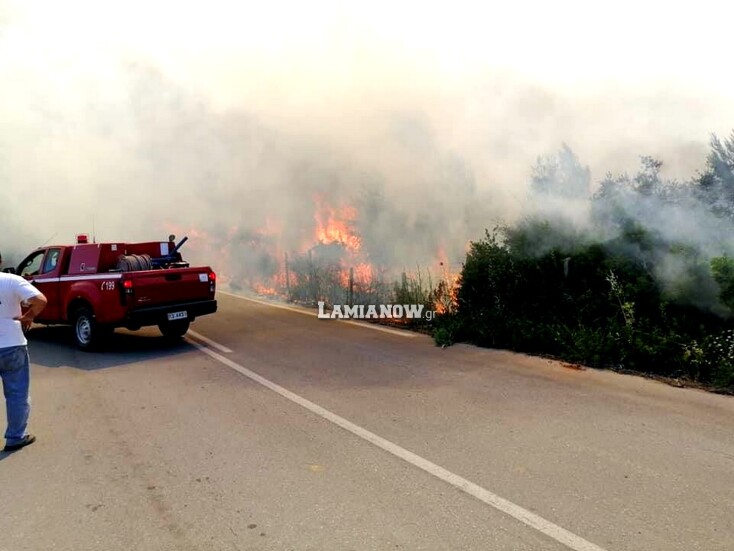 Φωτιά δίπλα στην Εθνική Οδό Αθηνών - Λαμίας στο ύψος του Μαρτίνου  