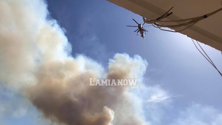 Φωτιά δίπλα στην Εθνική Οδό Αθηνών - Λαμίας στο ύψος του Μαρτίνου