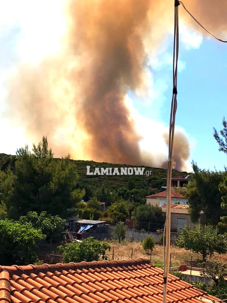 Φωτιά δίπλα στην Εθνική Οδό Αθηνών - Λαμίας στο ύψος του Μαρτίνου