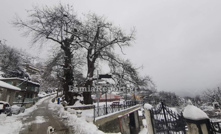 Στα «λευκά» τα ορεινά χωριά της Λαμίας