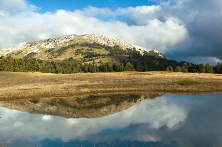 Λειβαδιές, Οίτη
