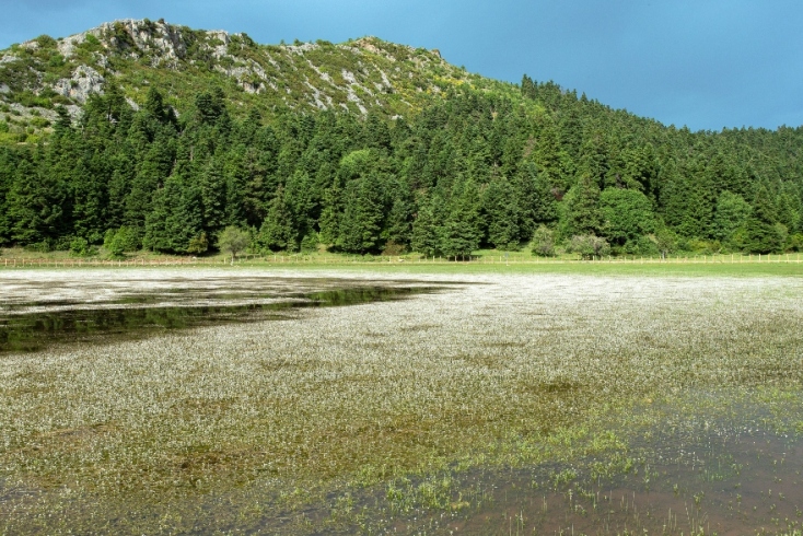 Λίμνη Νευρόπολης Καλλίδρομο