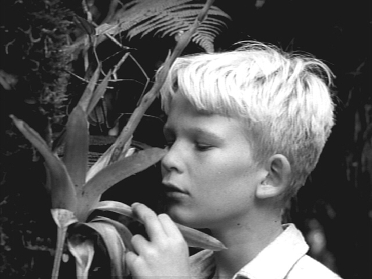 Ο Άρχοντας των Μυγών