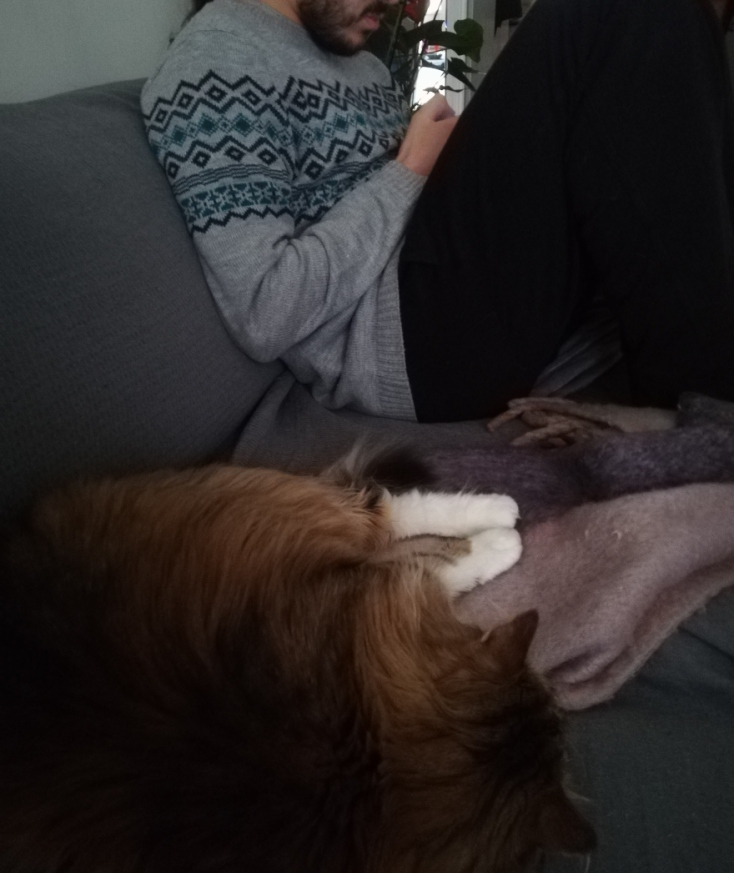 #menoumespiti με την Athens Voice: Η Rights Manager των εκδόσεων Διόπτρα, Γλυκερία Δημητροπούλου, περιγράφει μία μέρα στο σπίτι, εν μέσω πανδημίας κορωνοϊού