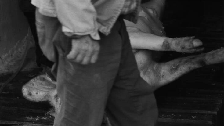 Στιγμιότυπο από το ντοκιμαντέρ «Λυαίος»