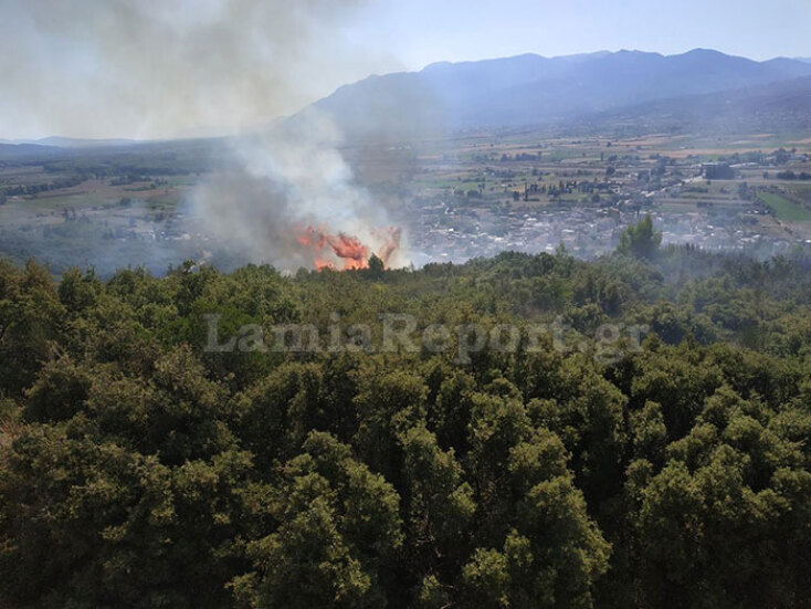 Δασική πυρκαγιά στη Μακρακώμη Φθιώτιδας