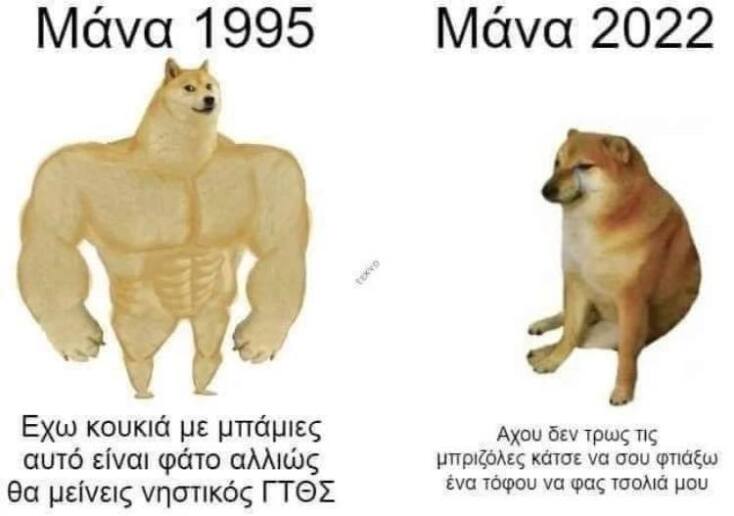 Αστεία memes, ατάκες, YOLO βίντεο, virals που ανέβηκαν στο διαδίκτυο και μας έκαναν να γελάσουμε