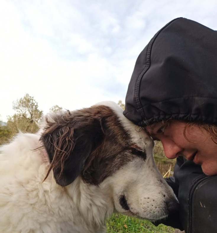Η Βασιλεία Μαυραγάνη και ο Σταύρος