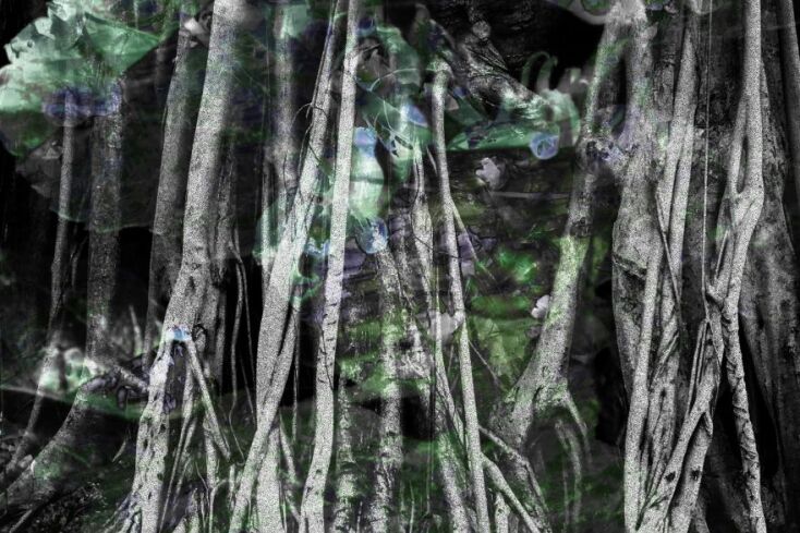 Έργο του Costas Picadas