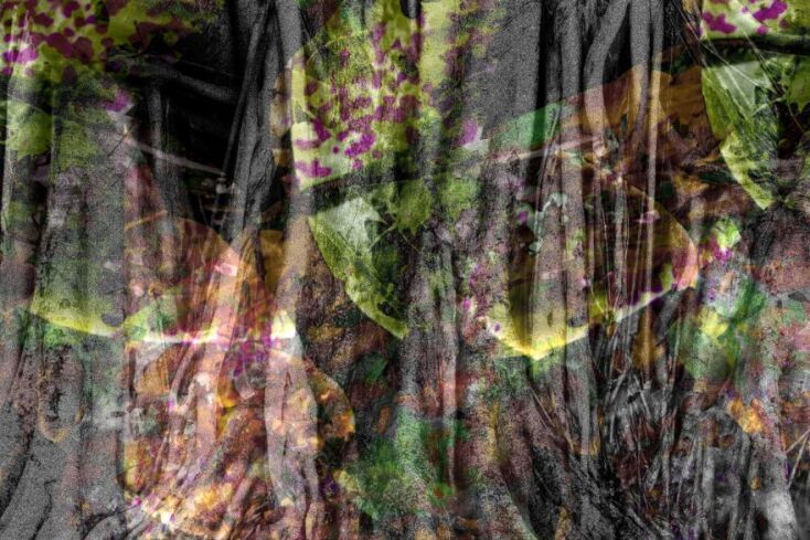 Έργο του Costas Picadas