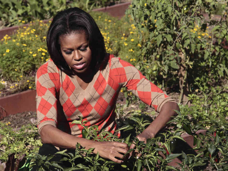 Η Μισέλ Ομπάμα στον κήπο με τα λαχανικά που δημιούργησε στον Λευκό Οίκο