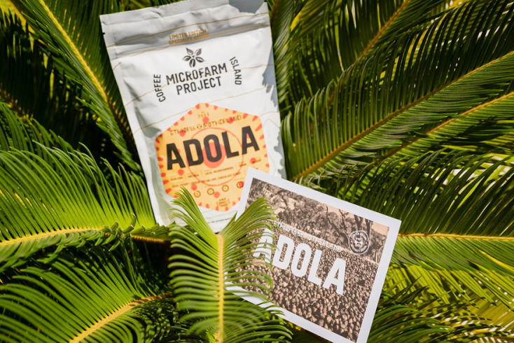 Τα Coffee Island τιμούν την Παγκόσμια Ημέρα καφέ με τον καινοτόμο 21ο Microfarm Project® – Ethiopia Motherland Adola. Ένας 100% σπάνιος καφές.
