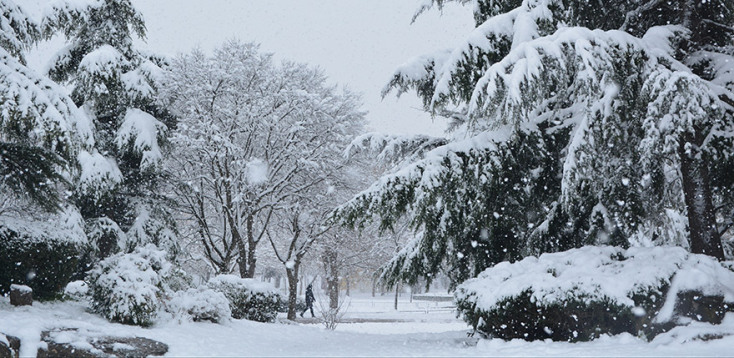 Λάρισα - Χιονόπτωση