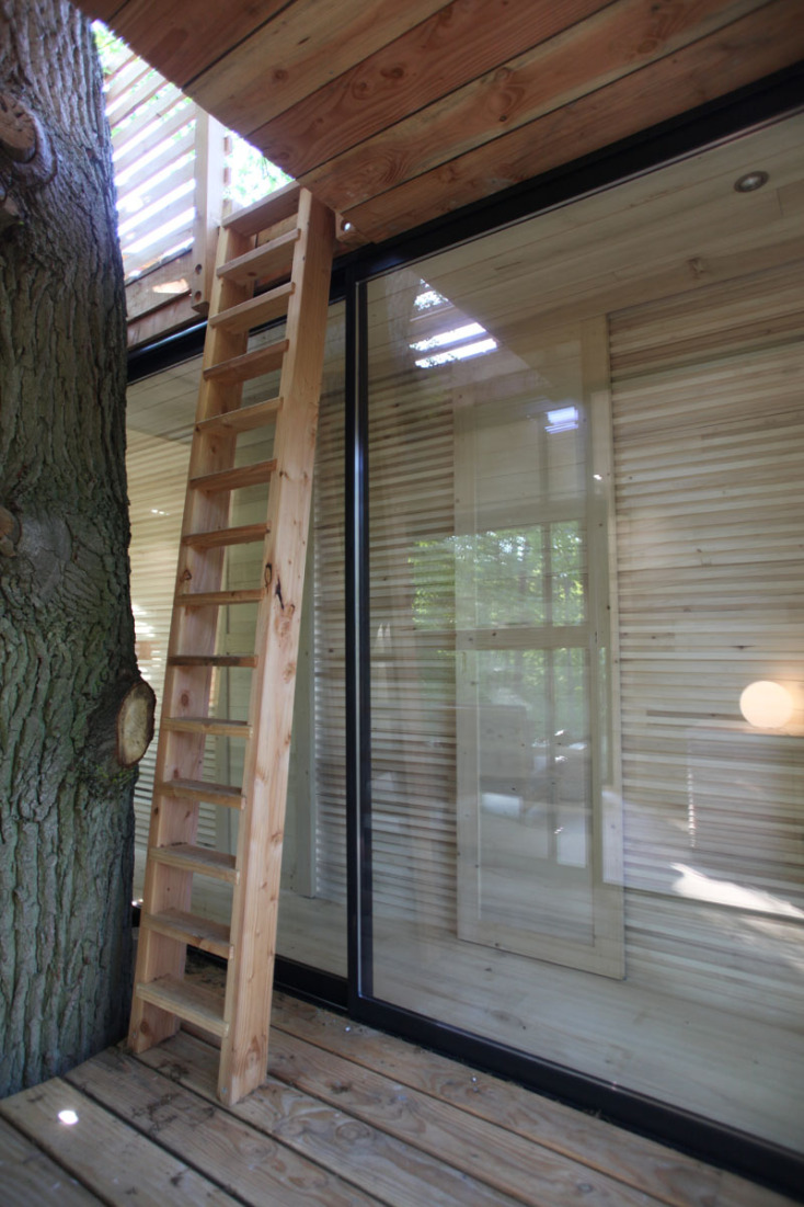 modern-architectural-wood-tree-house-170118-1246-07.jpg