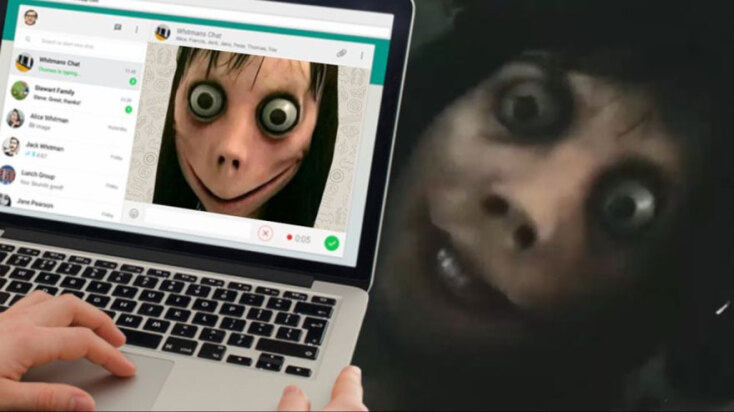 momo1.jpg