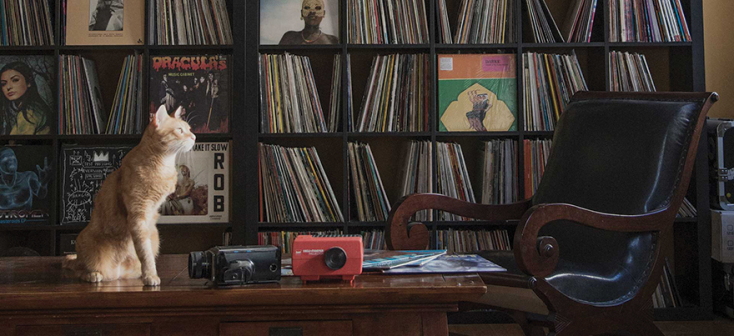 Movement Radio - Στέγη