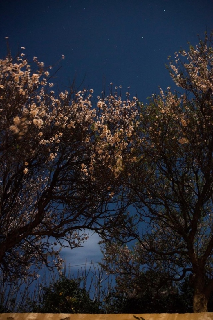 Μυρσίνη Γκανά