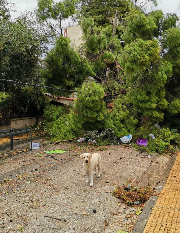 Καταστροφές στο Νέο Ηράκλειο από την κακοκαιρία που σάρωσε την Αττική 