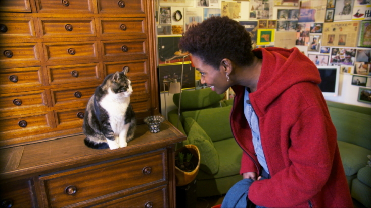 Kitty Love: Ωδή στις Γάτες