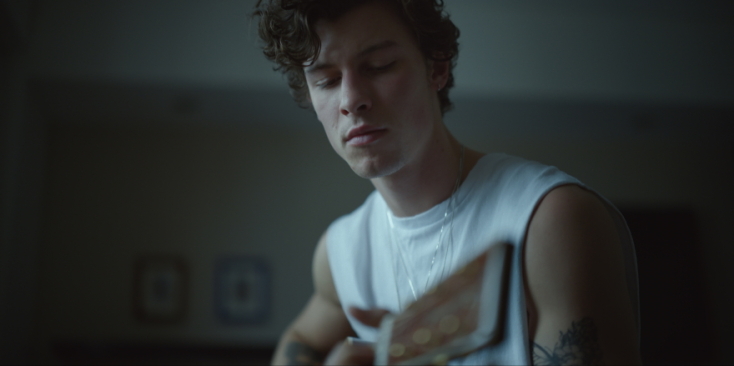 Shawn Mendes: In Wonder 
