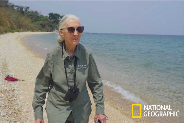 Το National Geographic γιορτάζει την επέτειο της ημέρας της γης με ένα θεματικό πρόγραμμα που κορυφώνεται με την πρεμιέρα του ντοκιμαντέρ "Jane Goodall: The Hope».