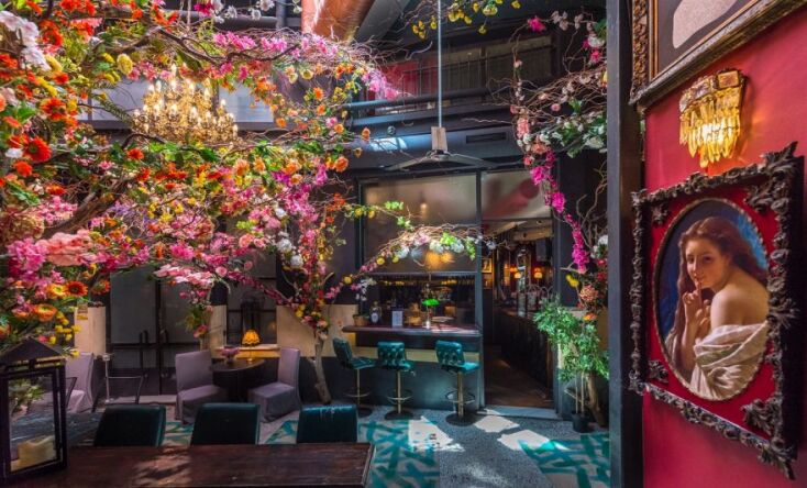 Frozen cocktails στο Noel