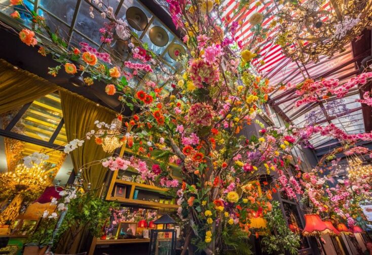 Frozen cocktails στο Noel