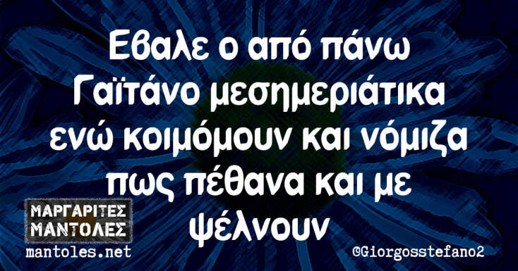 Αστεία memes, ατάκες, YOLO βίντεο, virals που ανέβηκαν στο διαδίκτυο και μας έκαναν να γελάσουμε