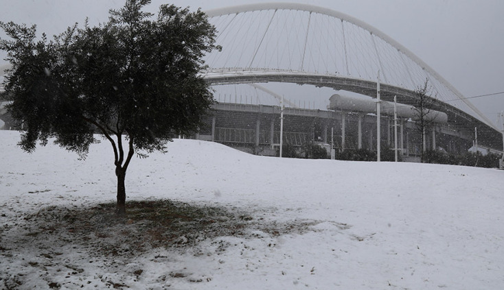 ΕΙΚΟΝΕΣ ΑΠΟ ΤΟ ΧΙΟΝΙΣΜΕΝΟ ΟΑΚΑ