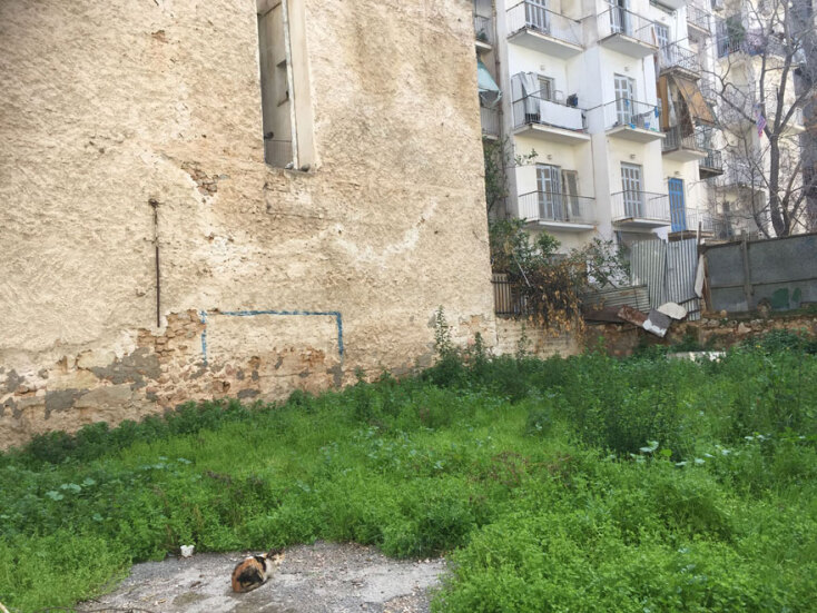 Οδός Φλωρίνης - Ζωγραφισμένο τέρμα σε πρώην ποδοσφαιρική αλάνα, τώρα χορταριασμένη