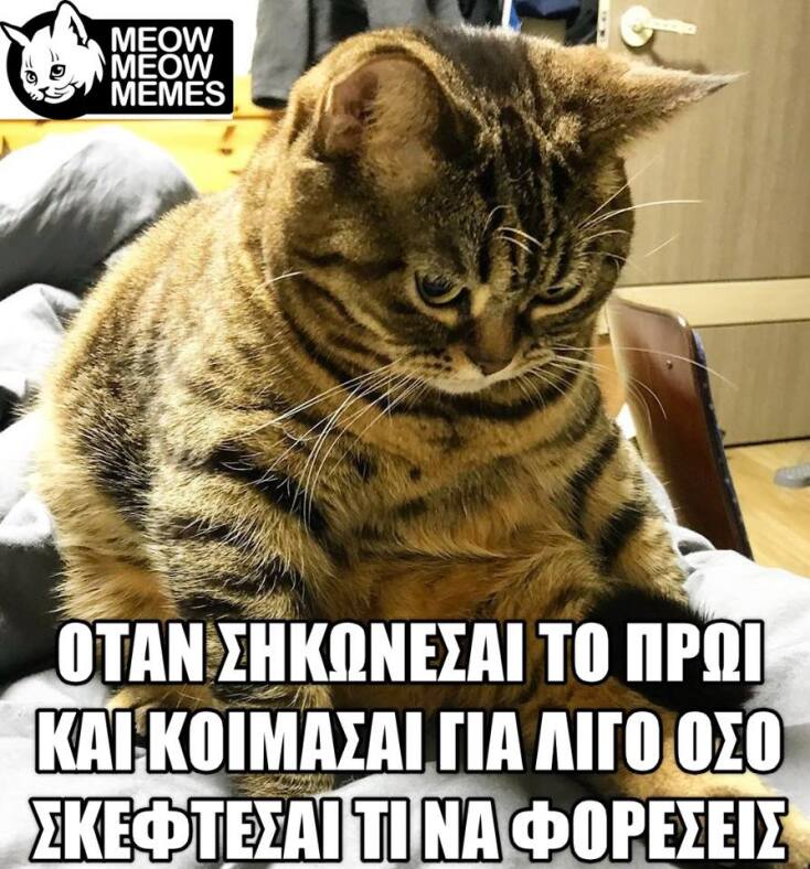 oloi_to_exoume_kanei.jpg