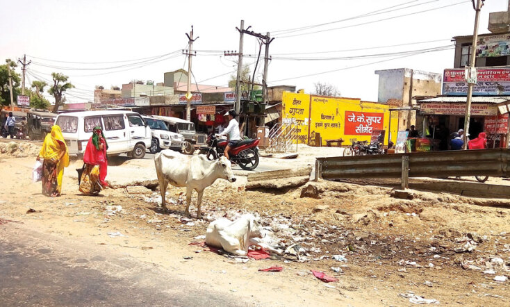 Έλενα Πέγκα, Αθήνα-Δελχί