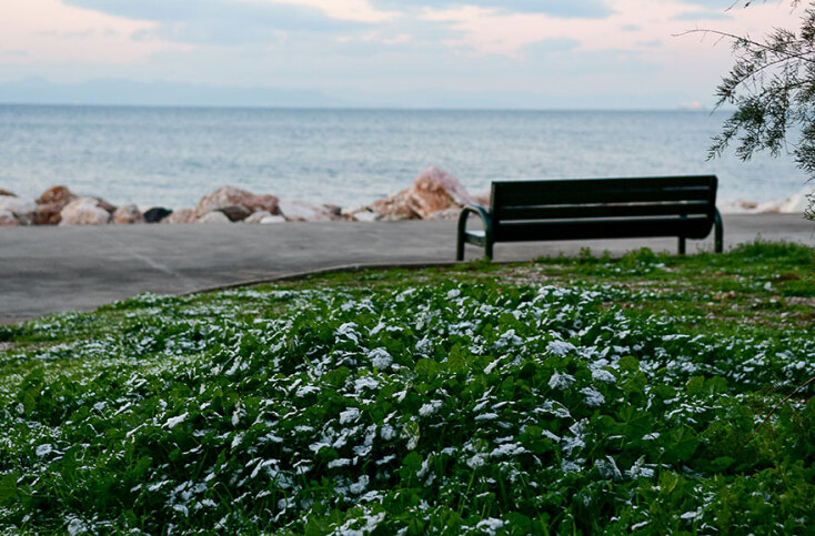 Παλαιό Φάληρο: Το χιόνι έφθασε στην παραλία