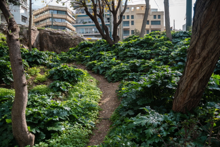 Ιερό του Πανός 