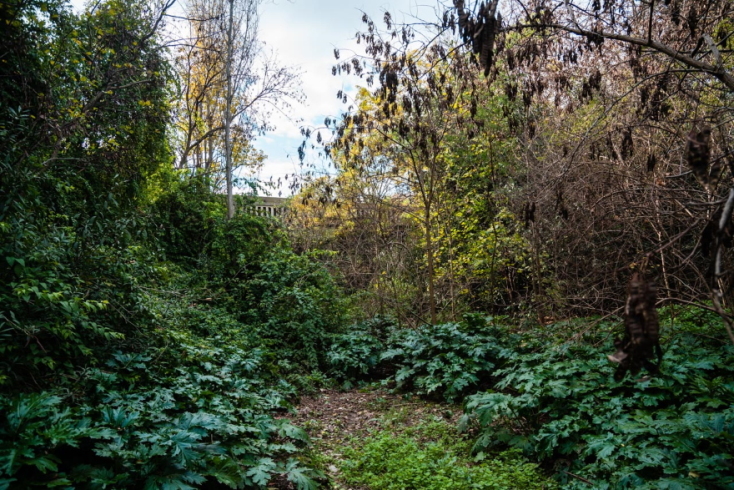 ποταμός Ιλισός