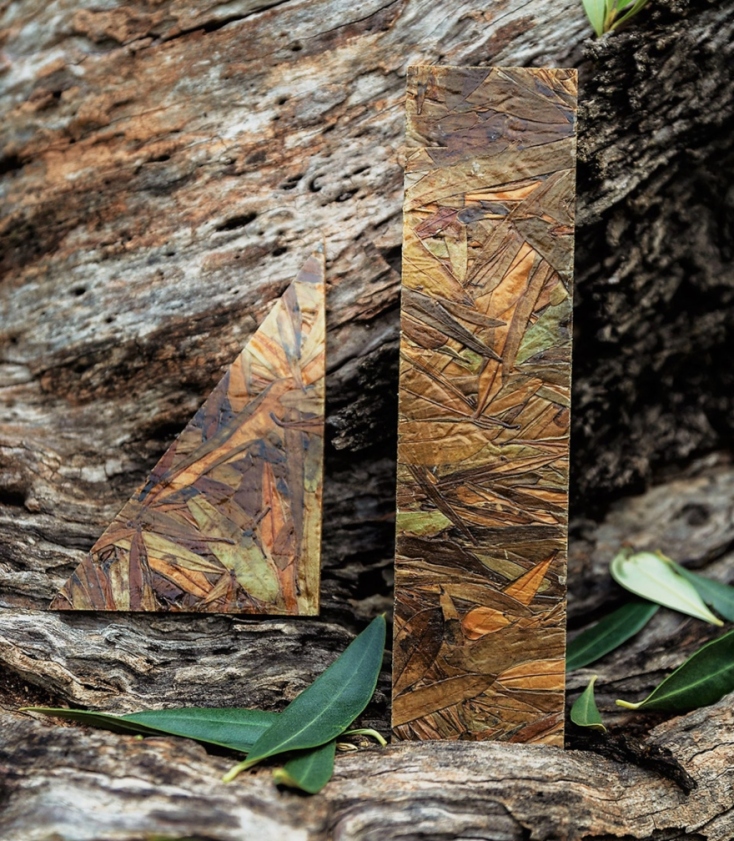 Πάνελ που έχει κατασκευαστεί από φύλλα ελιάς